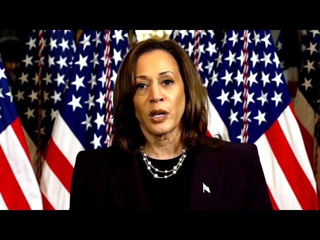 VP Kamala Harris makes public statement on Israel-Palestine conflic...